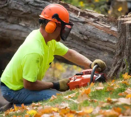 tree services Darby